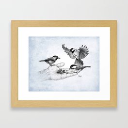 Chickadees Hand Feeding Framed Art Print