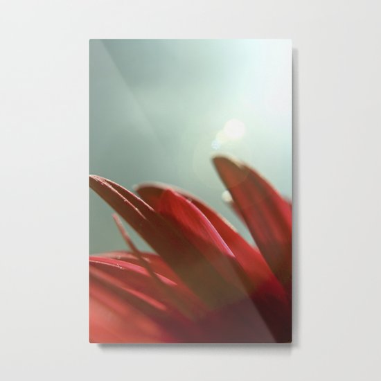 Gerber II Metal Print