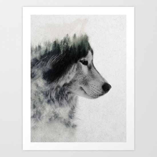 Wolf Stare Art Print