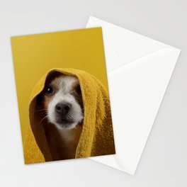 Jack Russell Terrier 8 Stationery Card
