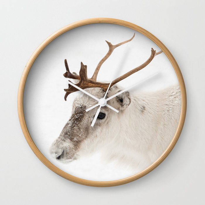 Reindeer In The Snow Photo | Lapland Norway In Winter Art Print | Nature  Animal Travel Photography  Wall Clock