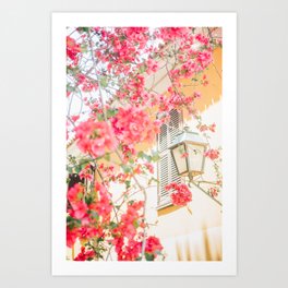 Travel Photography in Greece Plaka - Flowers on a Tree and Lantern Art Print