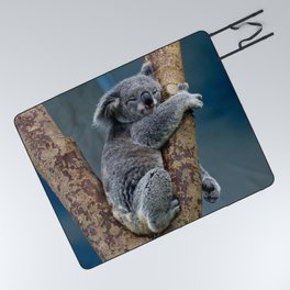 Koala Sieste / Koala Nap Picnic Blanket