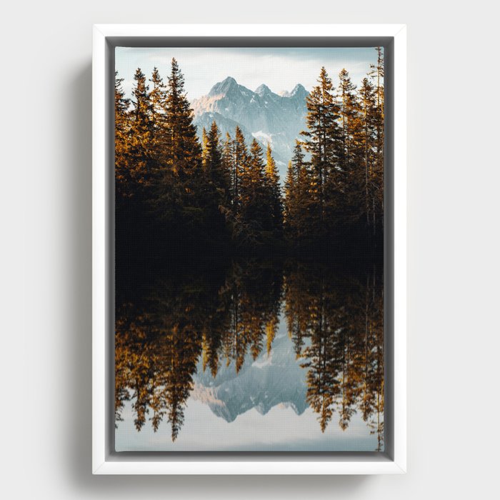 Reflection Pine Trees Framed Canvas