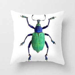 Eupholus Weevil Beetle Throw Pillow