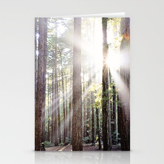 Sunburst Through the Redwoods Stationery Cards