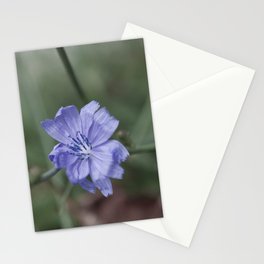 Wildflower Stationery Cards