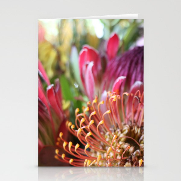 Protea Love Stationery Cards