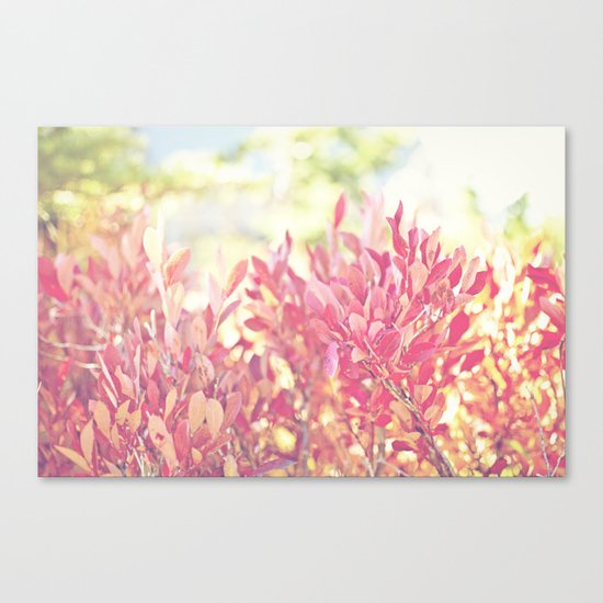 Burst of Red Canvas Print