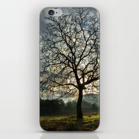 Tree iPhone & iPod Skin