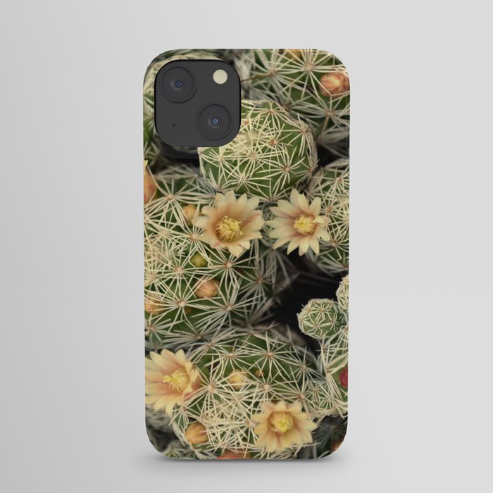 Pretty Prickly iPhone Case