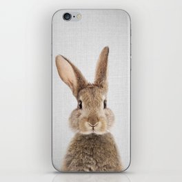 Rabbit - Colorful iPhone Skin