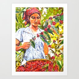 South American Coffee Picker Art Print