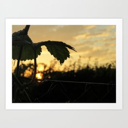 When Everything Starts Again - golden sunrise with leaf silhouette Art Print