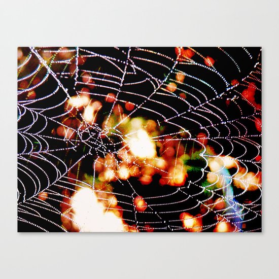 spider love Canvas Print