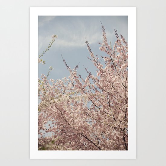 Sweet & Blue Art Print