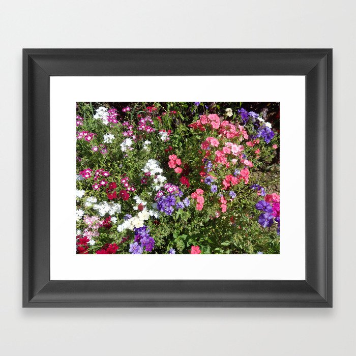 SUMMER FLOWERS IN THE GARDEN  Framed Art Print