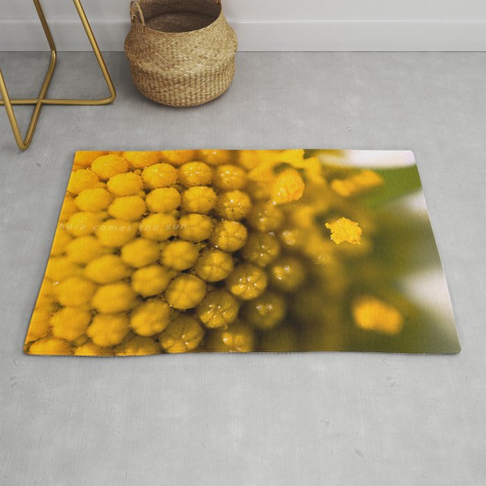 Here comes the sun Rug