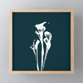 Calla Lily - Navy Framed Mini Art Print