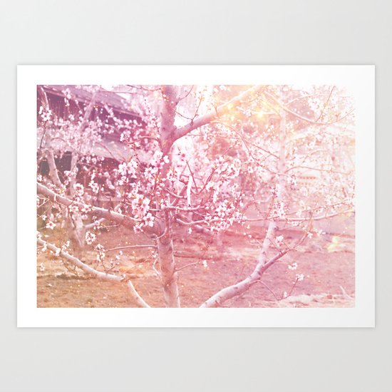 桜, さくら Art Print
