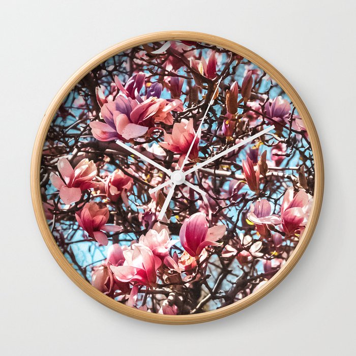 Cherry blossom in Central Park in New York City Wall Clock