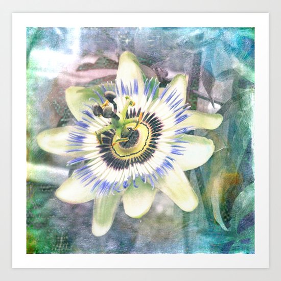 Textured Passiflorincarnata Art Print