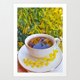 Mimosa perfumed cup of tea, spring in Italy, March. Art Print