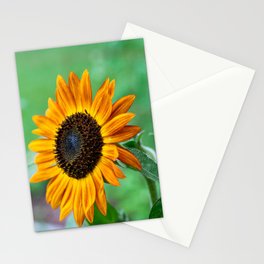 Sun Salutations Stationery Card