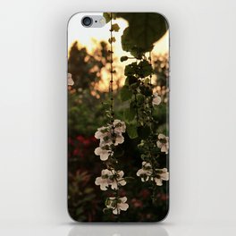 Sunset flowers iPhone Skin