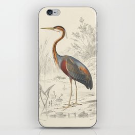 Naturalist Heron iPhone Skin