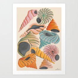Colorful shells  Art Print
