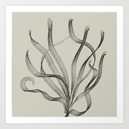 Seagrass 2 Art Print