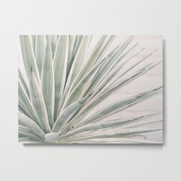 Faded Agave Metal Print
