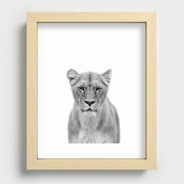 Lioness Recessed Framed Print