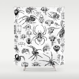 American spiders Shower Curtain