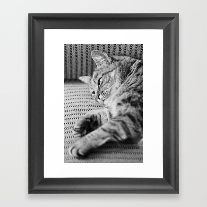 Cat Framed Art Print