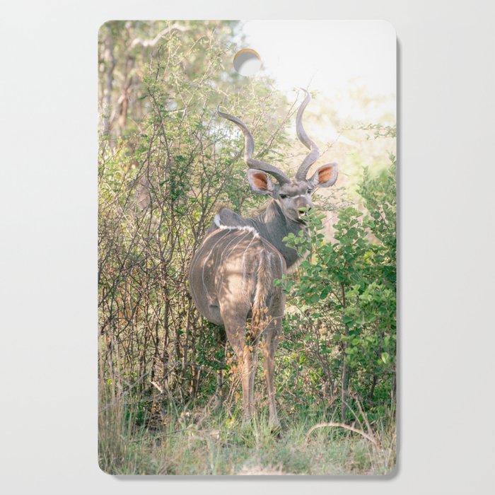 Kudu in the wilderness | Travel Photography | South Africa Cutting Board