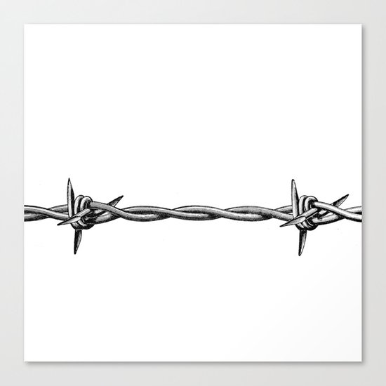 Barbed wire Canvas Print