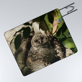 Baby barred owl Camouflage Picnic Blanket
