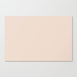 Warm Off White Solid Color Pairs PPG Nosegay PPG1069-1 - All One Single Shade Hue Colour Canvas Print