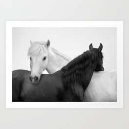 Yin and Yang Horses Art Print