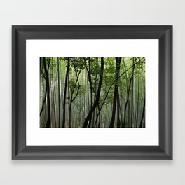 Bamboo trunks with varied shades of green in the Arashiyama Bamboo Grove on a summer afternoon Framed Art Print