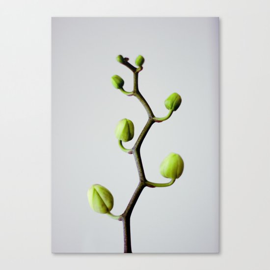 :: tree of growth :: Canvas Print