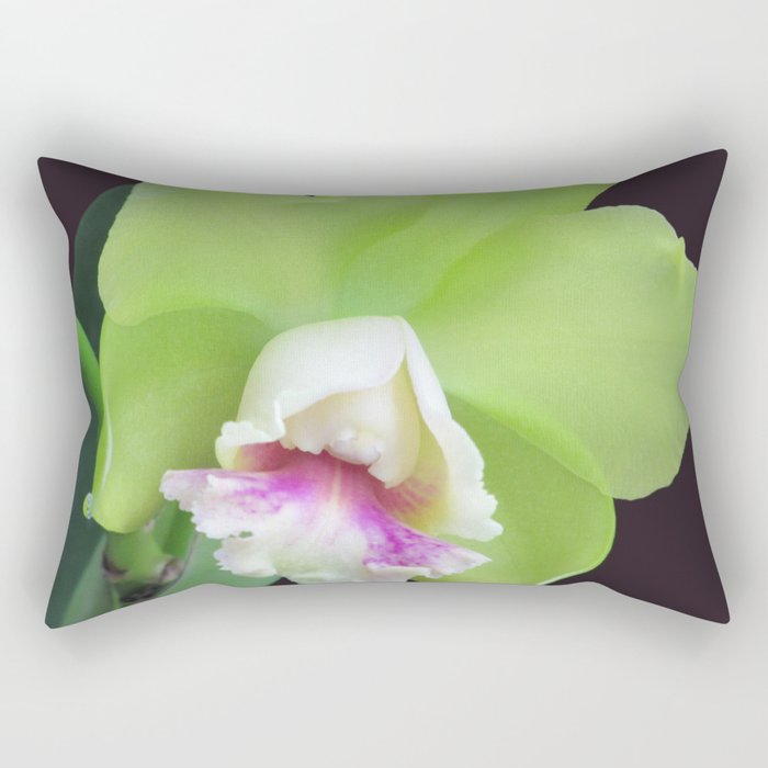 Green Cattleya Orchid Rectangular Pillow