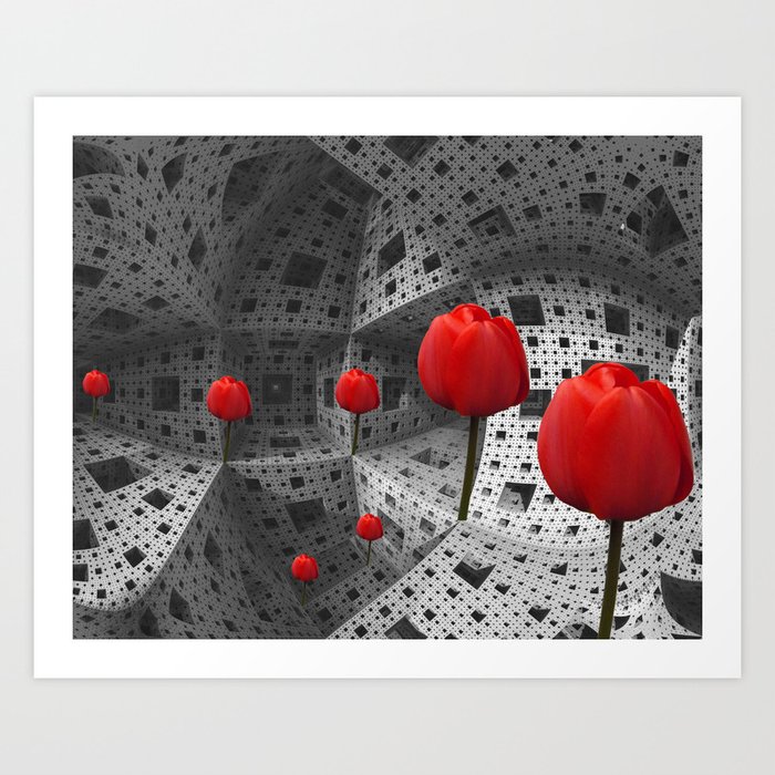 red tulips in Menger's Sponge Art Print