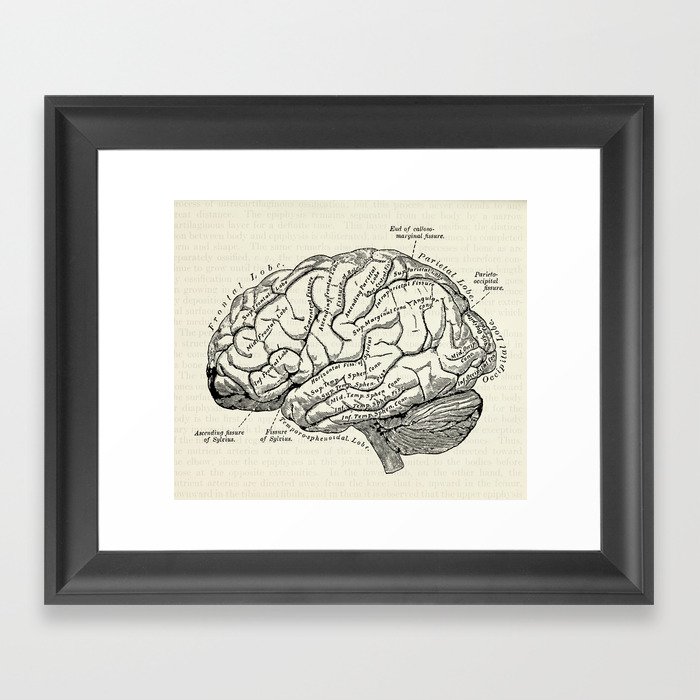 Vintage medical illustration of the human brain Framed Art Print