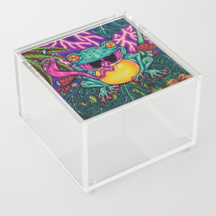 froggy Acrylic Box
