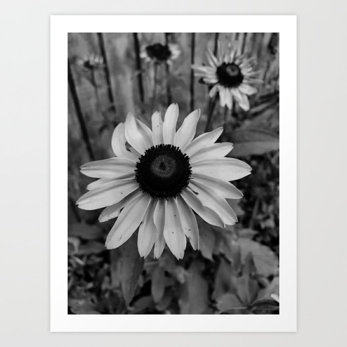 Black and white flowers Art Print