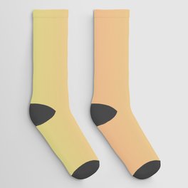 Gradient 05 Socks