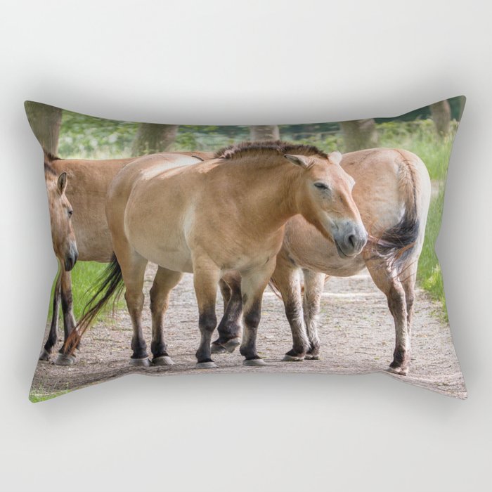 Przewalski's horses Rectangular Pillow